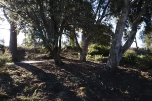 2025-06-21 Bartons Park - IMG_2450_compressed_q50.webp